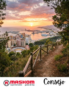Atardecer panorámico desde el monte Gibralfaro en Málaga, mostrando el puerto, la plaza de toros y pinos en primer plano durante una puesta de sol de junio.