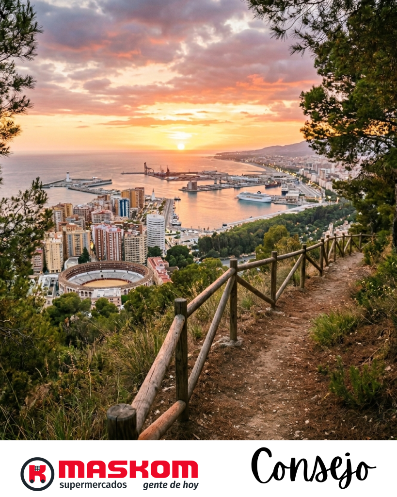 Atardecer panorámico desde el monte Gibralfaro en Málaga, mostrando el puerto, la plaza de toros y pinos en primer plano durante una puesta de sol de junio.
